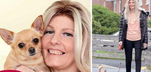 Hund hilft Frauchen, Krebs im dritten Stadium zu erkennen und rettet ihr Leben
